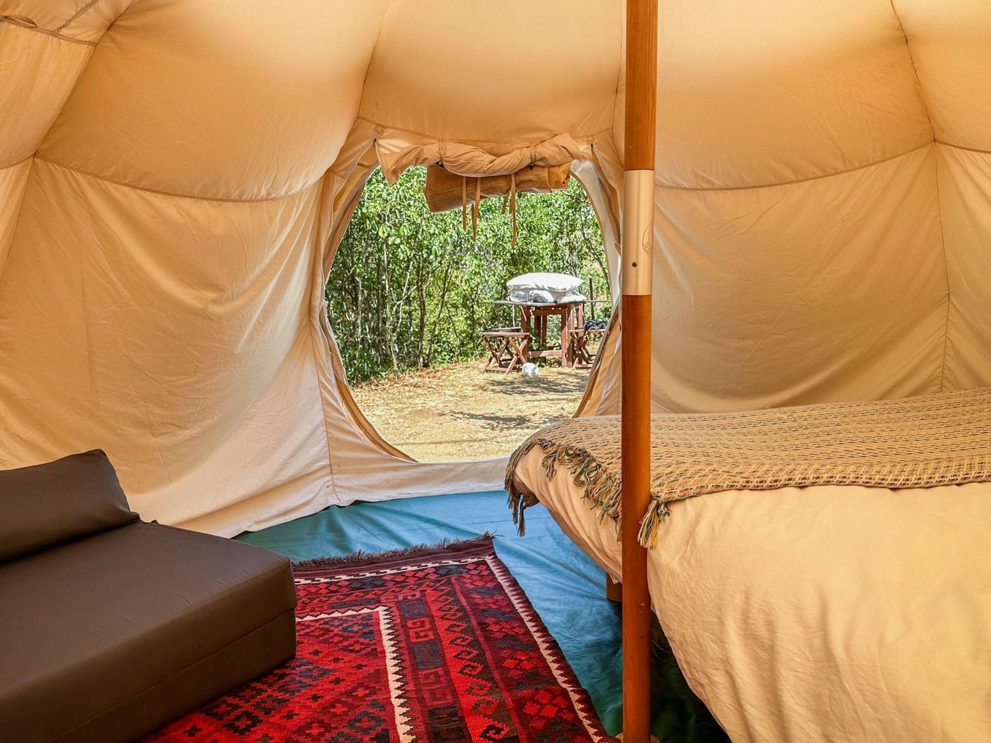 Glamping Do Ze Hotel Cernache do Bonjardim Ngoại thất bức ảnh
