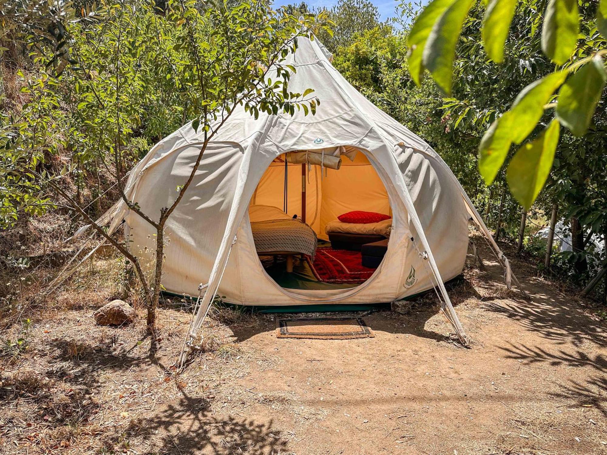 Glamping Do Ze Hotel Cernache do Bonjardim Ngoại thất bức ảnh